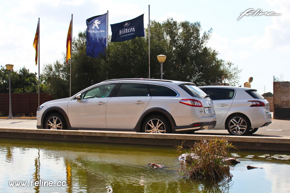 Photo Peugeot 508 RXH Blanc Nacré et 308 Féline Blanc Nacré