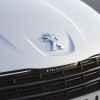 Photo officielle sigle lion capot calandre avant Peugeot 508 Blanc Nacré I - 1-012