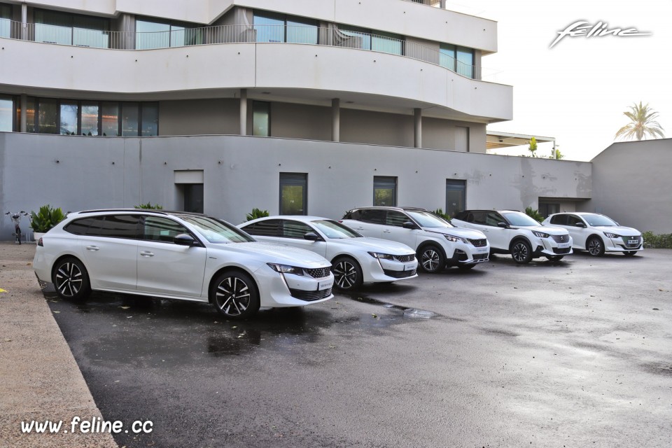 Photo gamme Peugeot électrifiée 2020 (HYbrid et Full Electric)