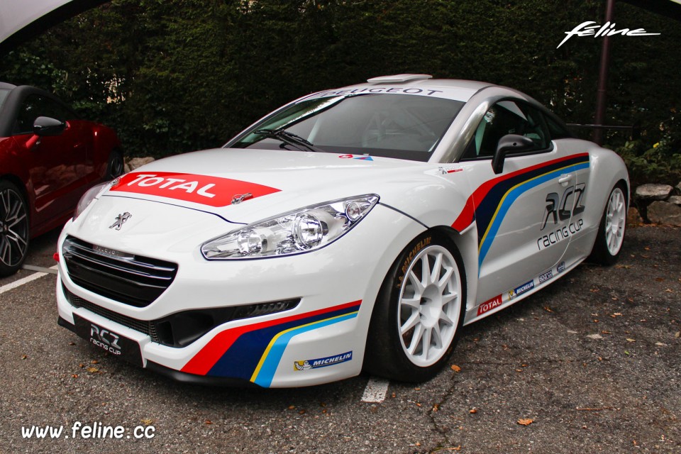 Photo Peugeot RCZ Racing Cup - Essais Novembre 2013 - 1-048