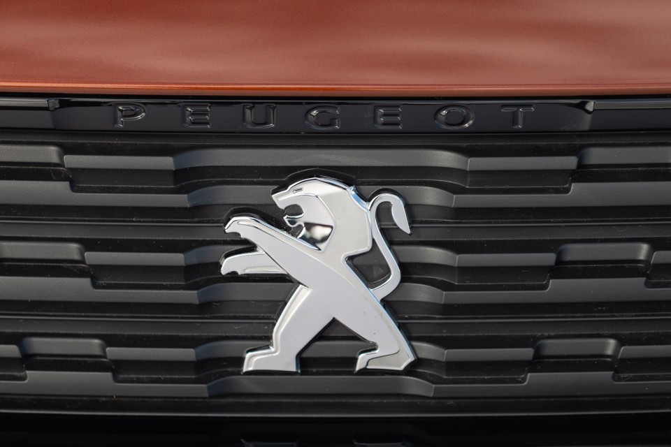 Photo logo calandre Peugeot Rifter GT Line Metallic Copper - Ess