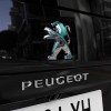 Photo sigle Lion dichroïque Peugeot e-Traveller Electrique (202