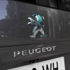 Photo sigle Lion bicolore Peugeot e-Traveller Electrique (2020)