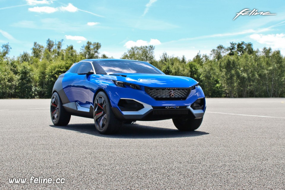 Photo Peugeot Quartz Concept (2015) - Circuit de Mortefontaine
