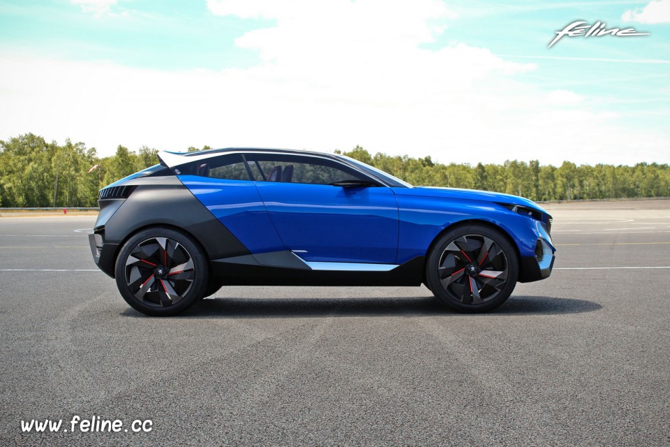 Photo Peugeot Quartz Concept (2015) - Circuit de Mortefontaine