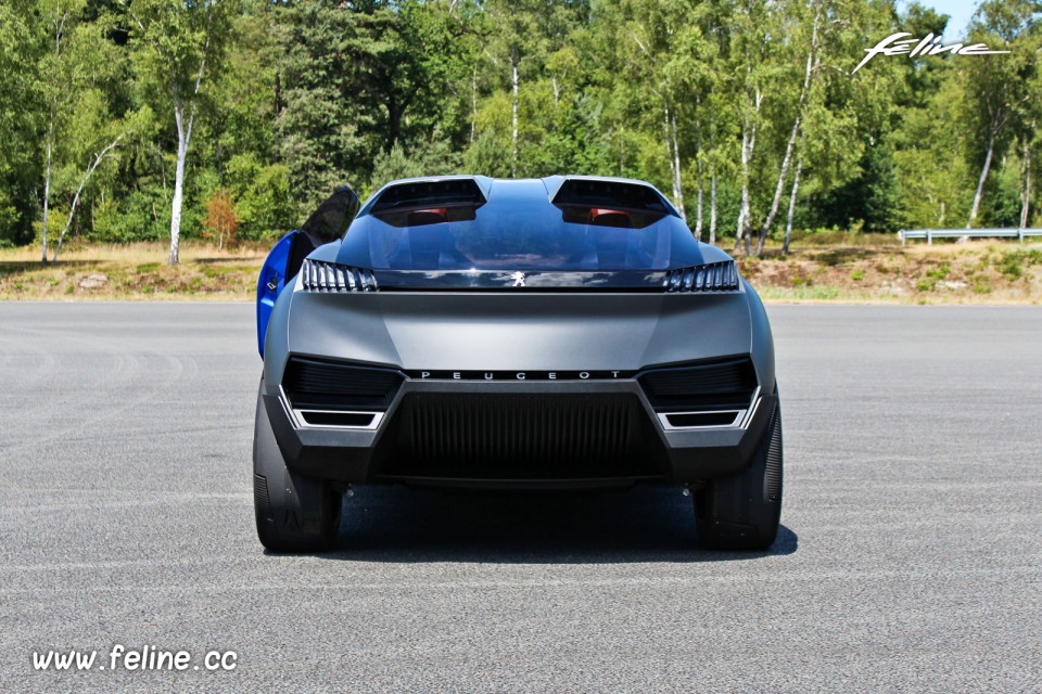 Photo Peugeot Quartz Concept (2015) - Circuit de Mortefontaine