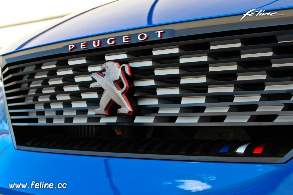 Photo calandre avant Peugeot Quartz Concept (2015) - Circuit de