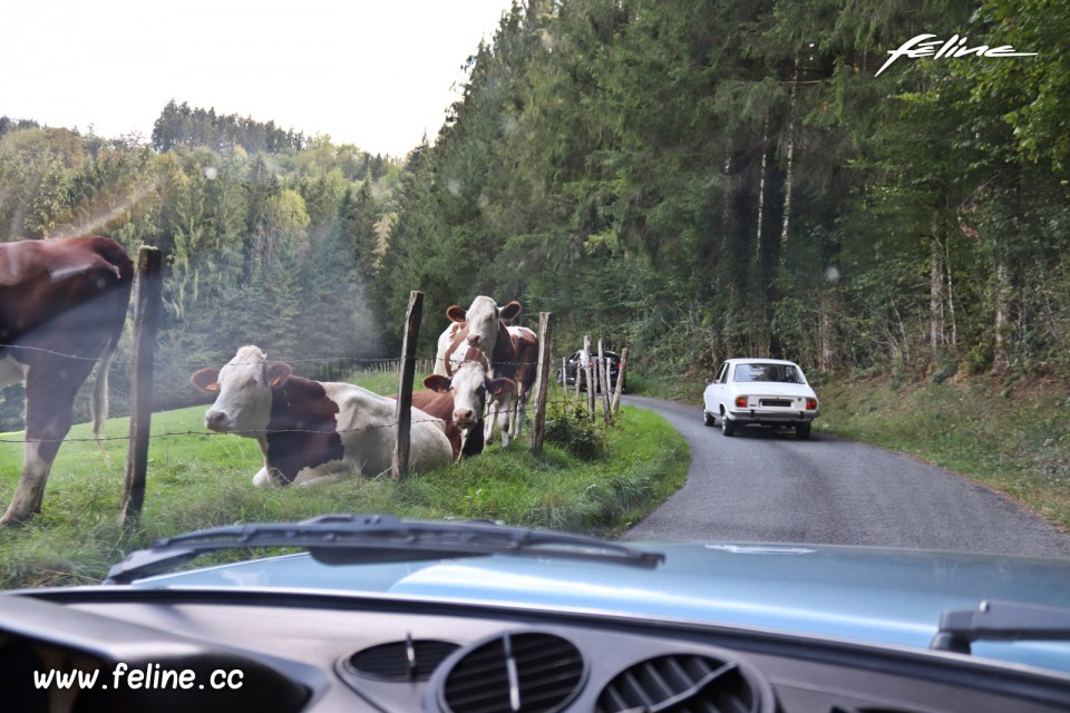 Photo road-trip Peugeot 508 et 504 Spirit of France (2018)