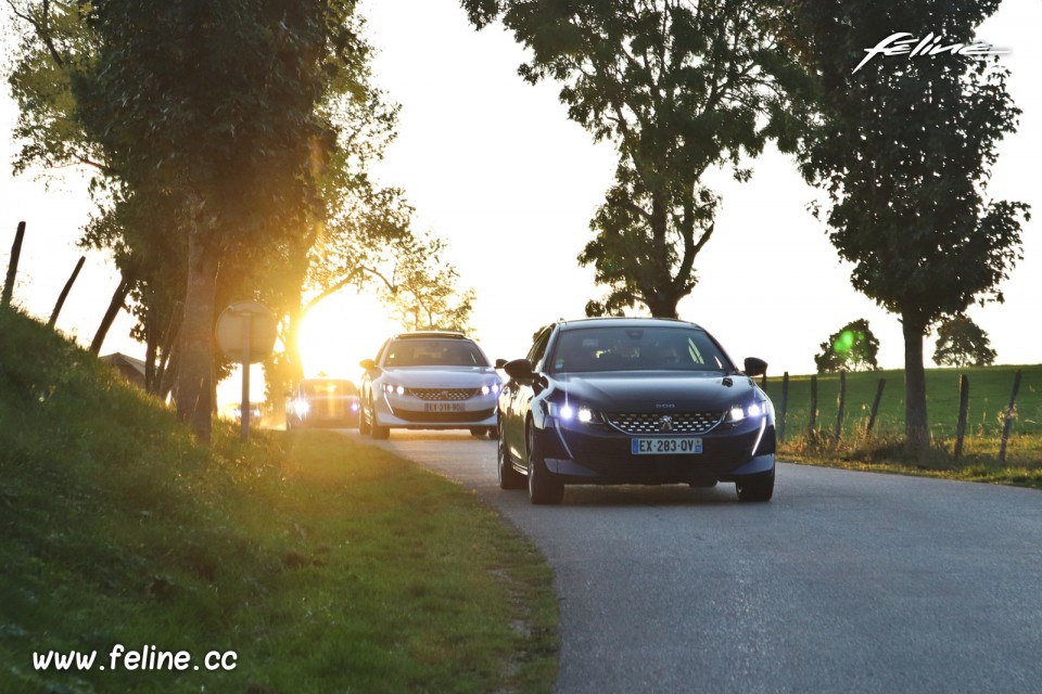 Photo road-trip Peugeot 508 et 504 Spirit of France (2018)