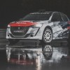 Photo officielle Peugeot 208 Rally4 (2019)