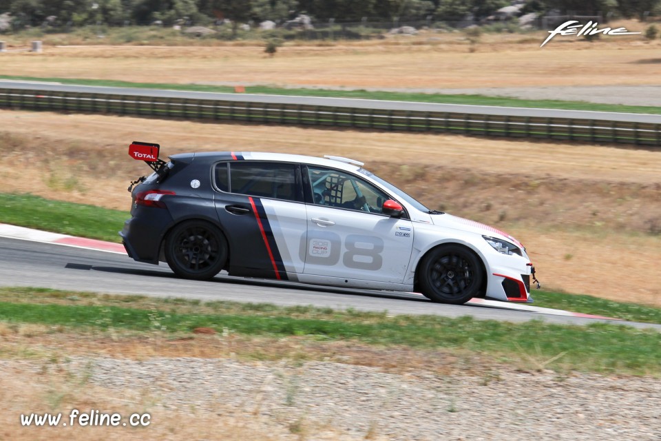 Photo profil Peugeot 308 Racing Cup (2017)