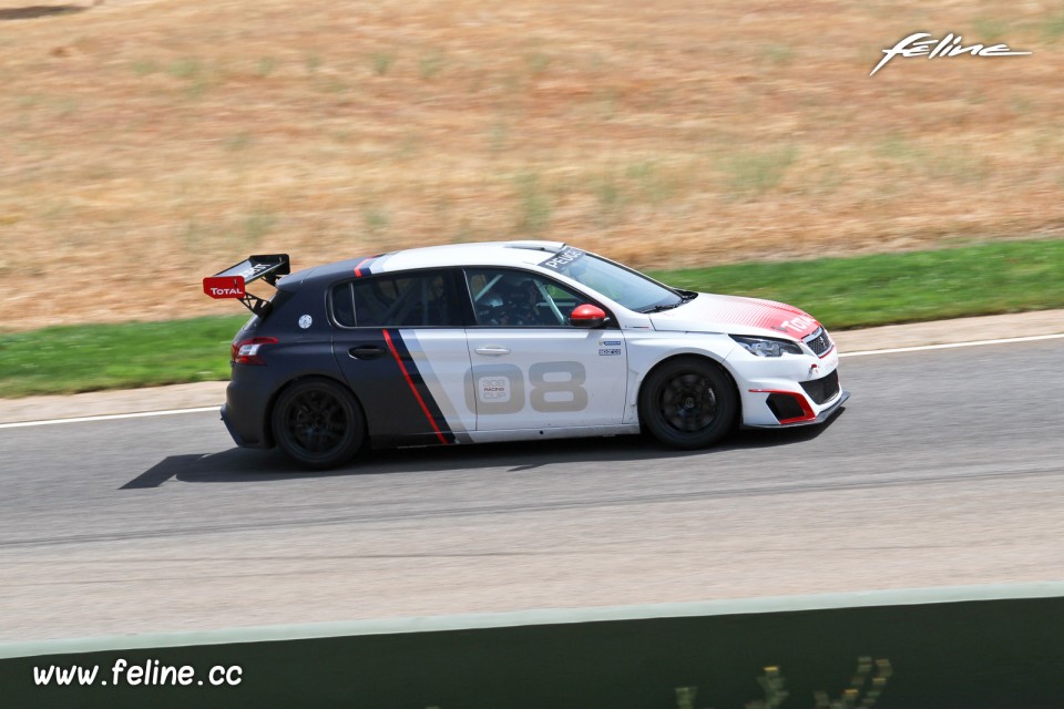 Photo profil Peugeot 308 Racing Cup (2017)