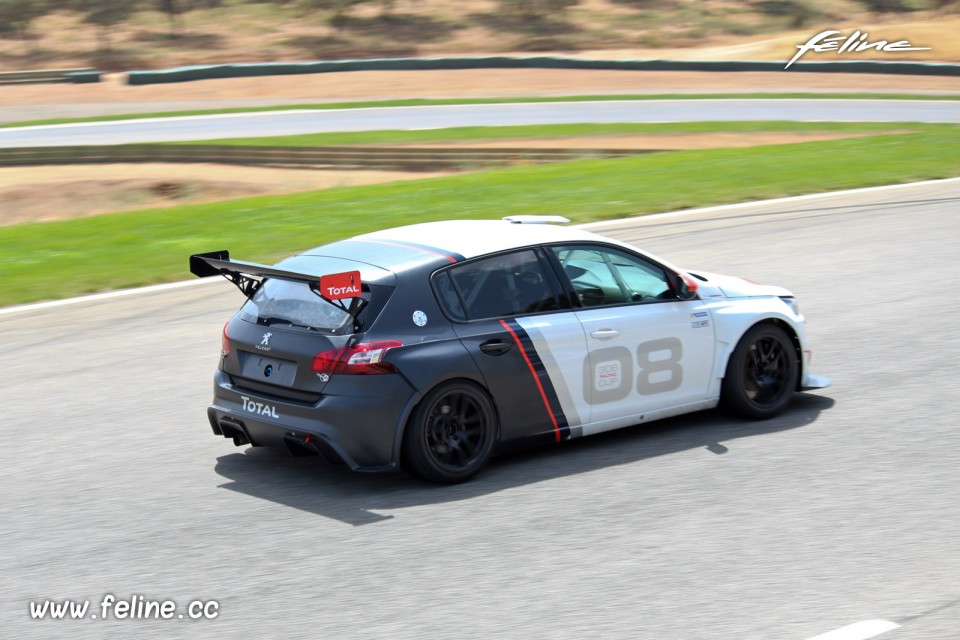 Photo 3/4 arrière Peugeot 308 Racing Cup (2017)