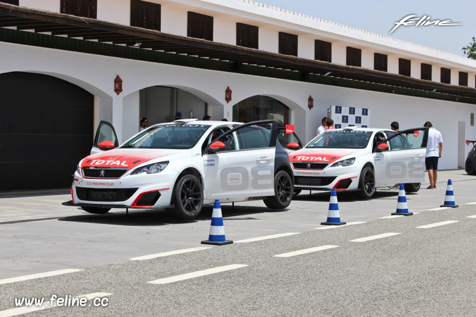 Photo essai Peugeot 308 Racing Cup (2017)
