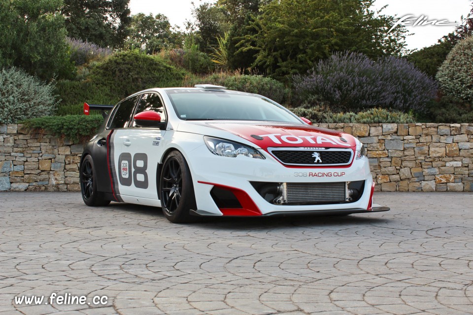 Photo 3/4 avant Peugeot 308 Racing Cup (2017)