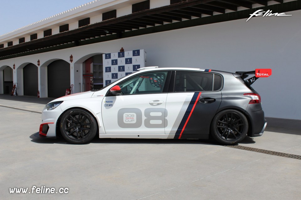 Photo profil Peugeot 308 Racing Cup (2017)