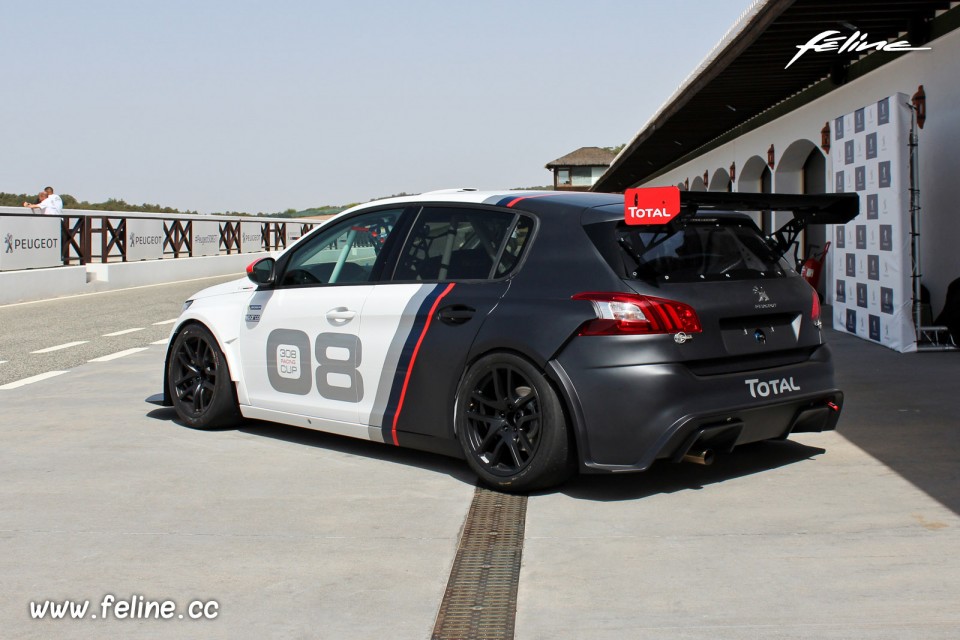 Photo 3/4 arrière Peugeot 308 Racing Cup (2017)