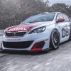 Photo Peugeot 308 Racing Cup