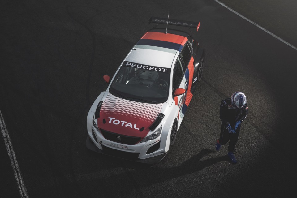 Photo pilote Peugeot 308 TCR (2018)